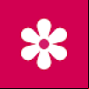 Samsung Gallery